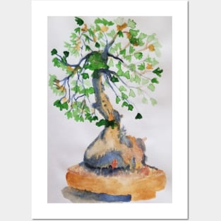 Bonsai Posters and Art